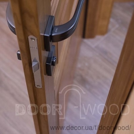 Межкомнатные деревянные двери массив ясеня, купить заказать двери Киев Харьков